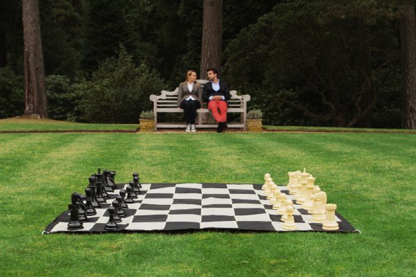 Large Chess Package - 20cm - Image 2