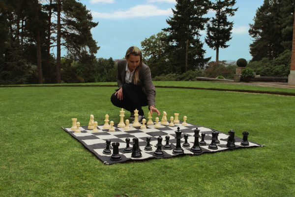 Large Chess Package - 20cm - Image 5