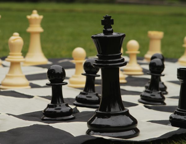 Large Chess Package - 20cm - Image 4